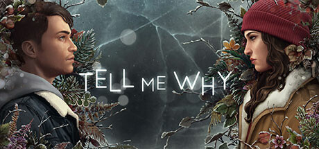 Tell Me Why artwork